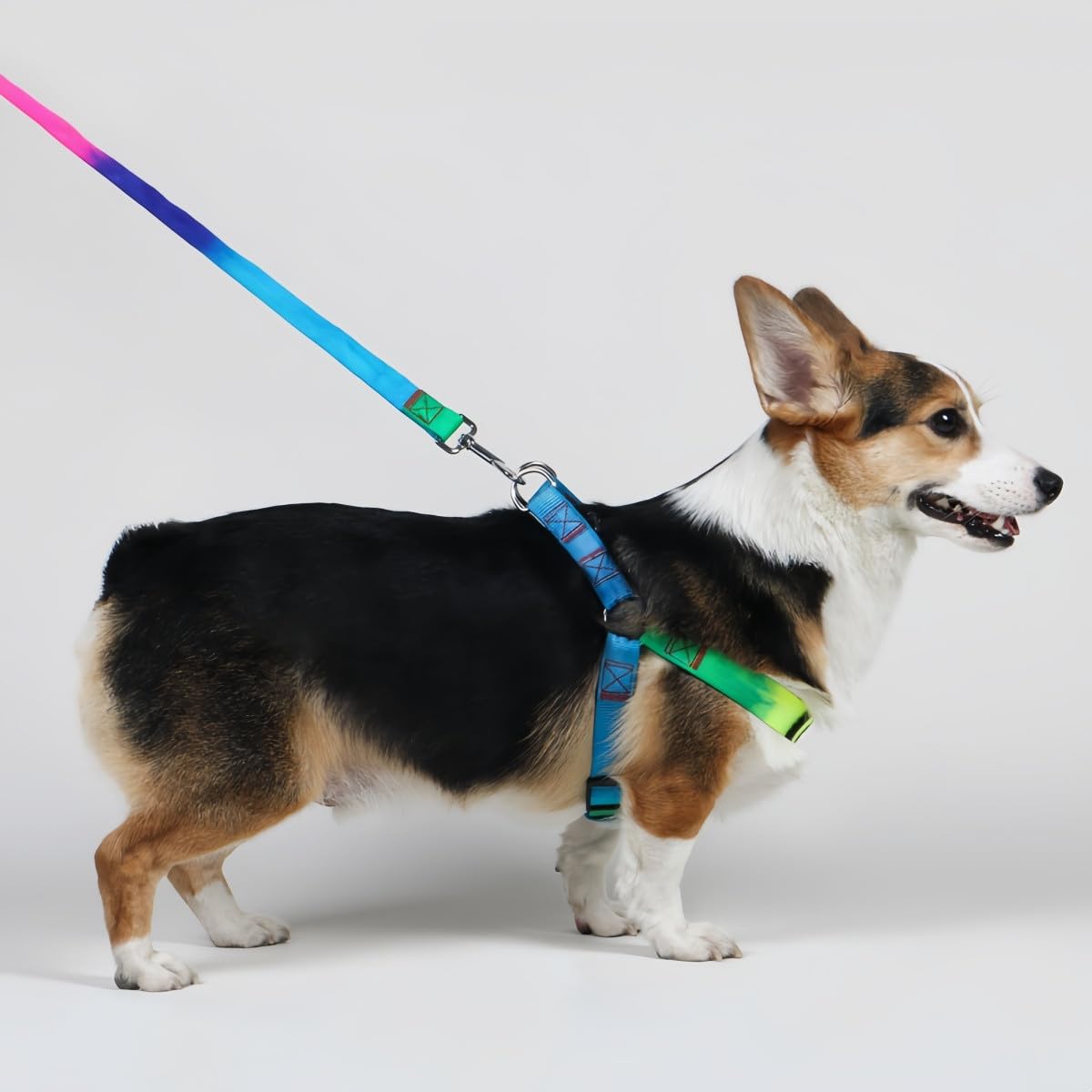 花井子 大型犬 ハーネス 犬 ハーネス おしゃれ 犬用ハーネス 首輪 Amazon | 花井子 大型犬 ハーネス 犬 ハーネス おしゃれ 犬用
